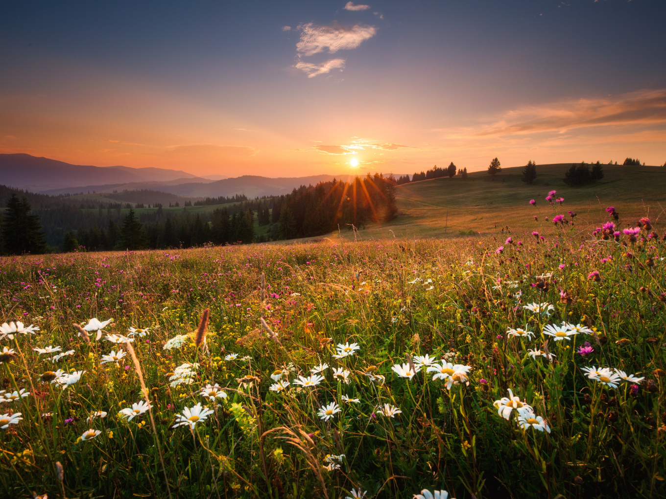 From Darkness to His Marvelous Light: Testimony of Muhammad U