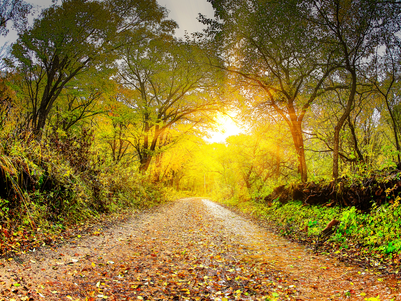 From Deep Abuse to Life in Christ- Julie’s Story